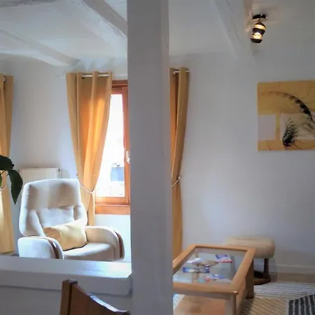 Aux Fines Bulles D'alsace Privatif En Supplement Apartment Bergheim