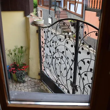 Aux Fines Bulles D'alsace Privatif En Supplement Apartment