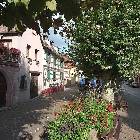 Aux Fines Bulles D'alsace Privatif En Supplement Bergheim