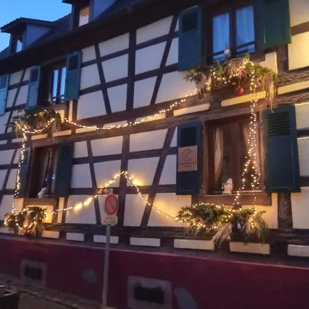 Aux Fines Bulles D'alsace Privatif En Supplement Apartamento Bergheim